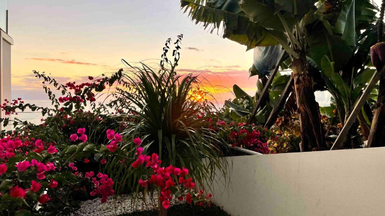 Holiday Apartment Sunset Ocean Ribeira Brava Exterior photo